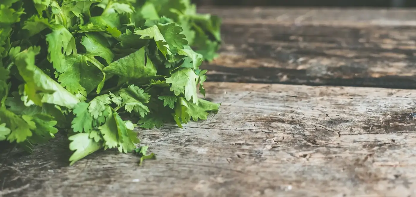 Bouquet d'herbes fraîches posé sur une table de bois brut