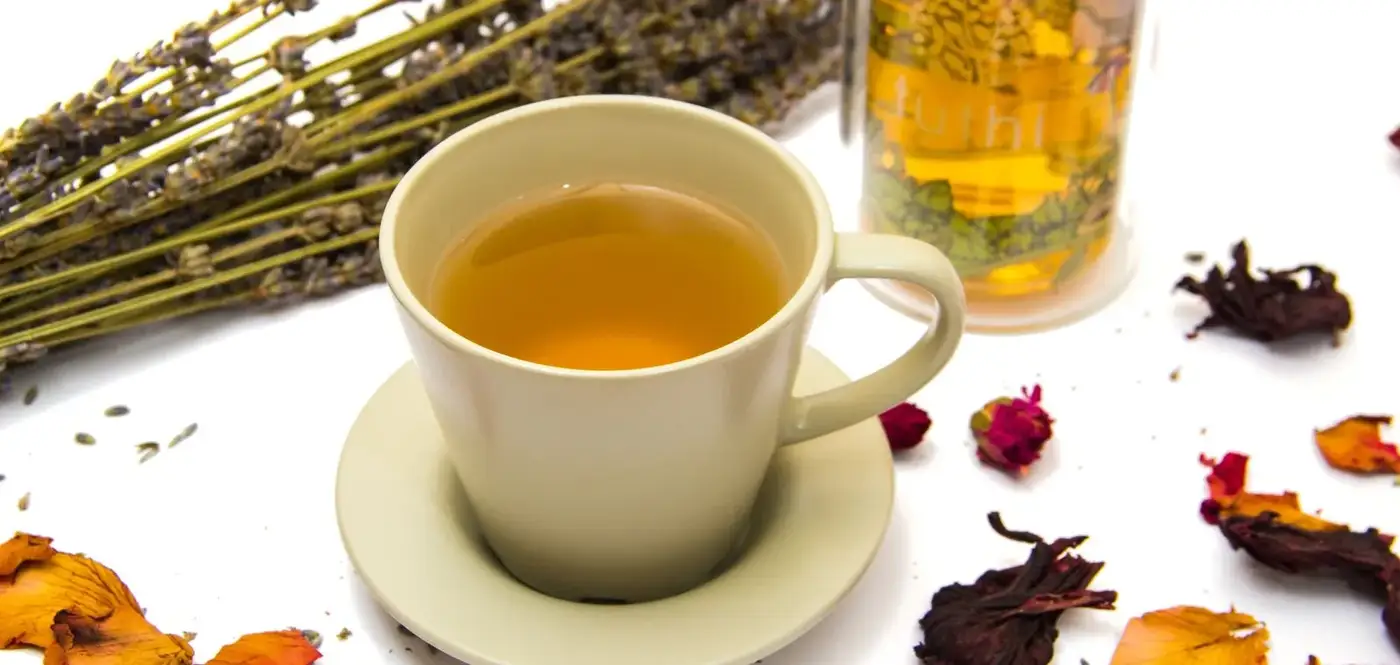 Tasse d'infusion entourée de fleurs et de plantes séchées